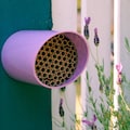 Color Splash Mason Bee House: Pollinator Garden Home