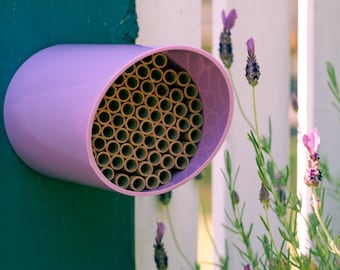 Könnte beinhalten: Ein violettes Bienenhaus mit einem Wabenmuster aus kleinen, runden, braunen Röhren. Das Bienenhaus ist an einem weißen Lattenzaun befestigt, vor dem Lavendelpflanzen wachsen.
