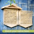 Rivajam Native Bee Observatory | Wax Coated Mason Bee House | Leafcutter Solitary Pollinating Bees House | Garden Patio Decor Gift
