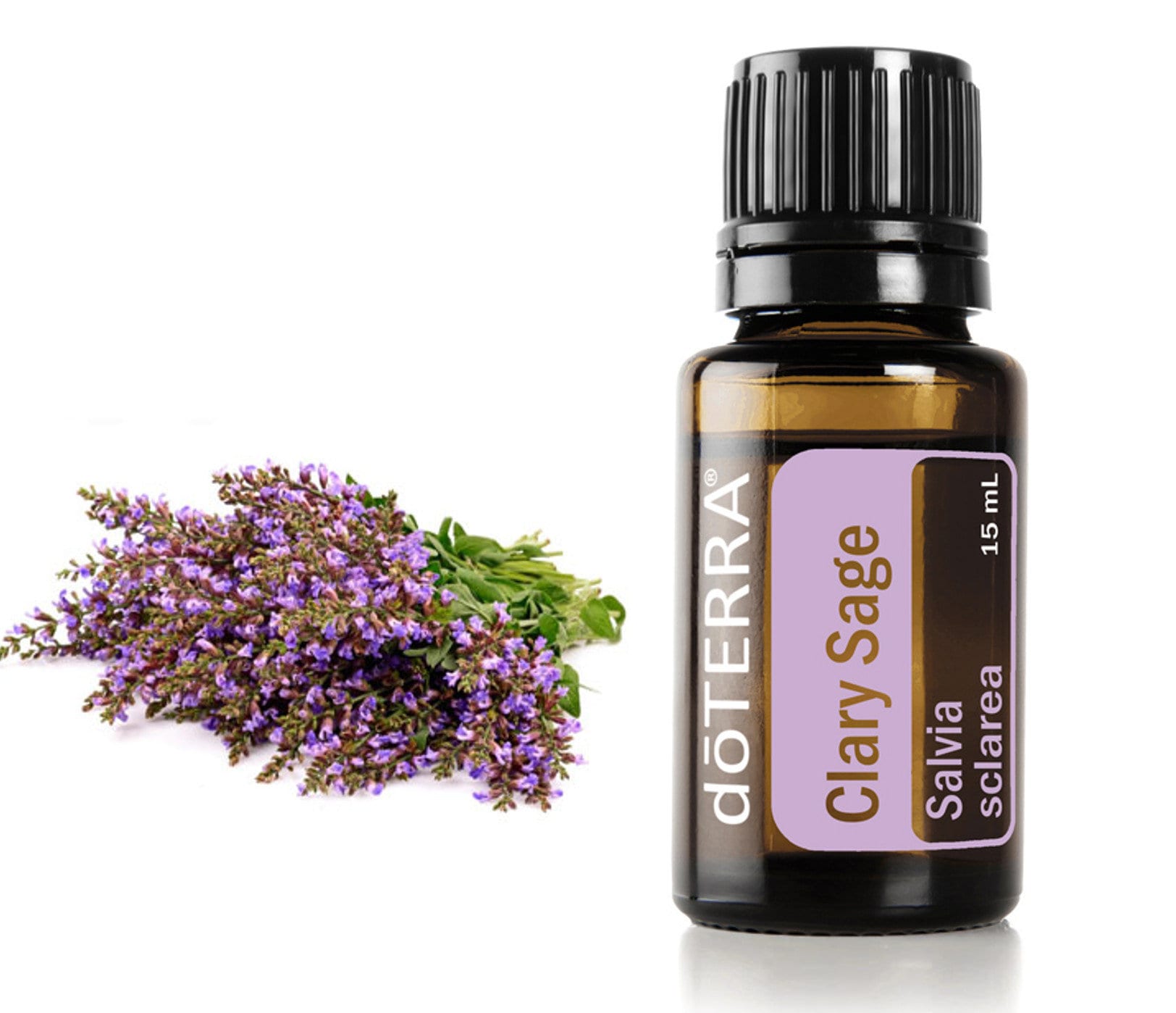 Doterra Clary Sage Essential Oil 15ml Etsy