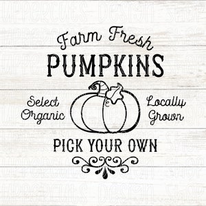 Puede incluir: Un diseño gráfico en blanco y negro con las palabras "Farm Fresh PUMPKINS" sobre una ilustración de calabaza. El texto adicional incluye "Select Organic", "Locally Grown" y "PICK YOUR OWN". El diseño está sobre un fondo de madera blanca.