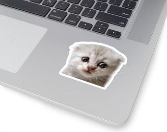 Lawyer Cat Etsy Lawyer Cat Etsy