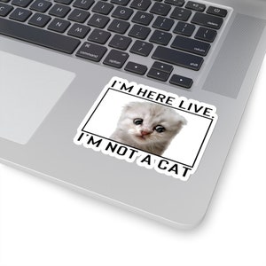Zoom Lawyer Cat Sticker - Zoom Cat Meme Sticker - Funny Lawyer Zoom Judge Call as Cat - I'm not a cat - Laptop Sticker Funny Gift Cat