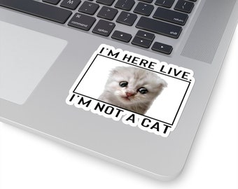 Zoom Lawyer Cat Sticker - Zoom Cat Meme Sticker - Funny Lawyer Zoom Judge Call as Cat - I'm not a cat - Laptop Sticker Funny Gift Cat