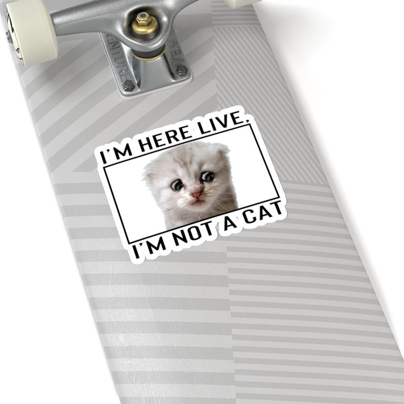 Zoom Lawyer Cat Sticker Zoom Cat Meme Sticker Funny Lawyer Etsy