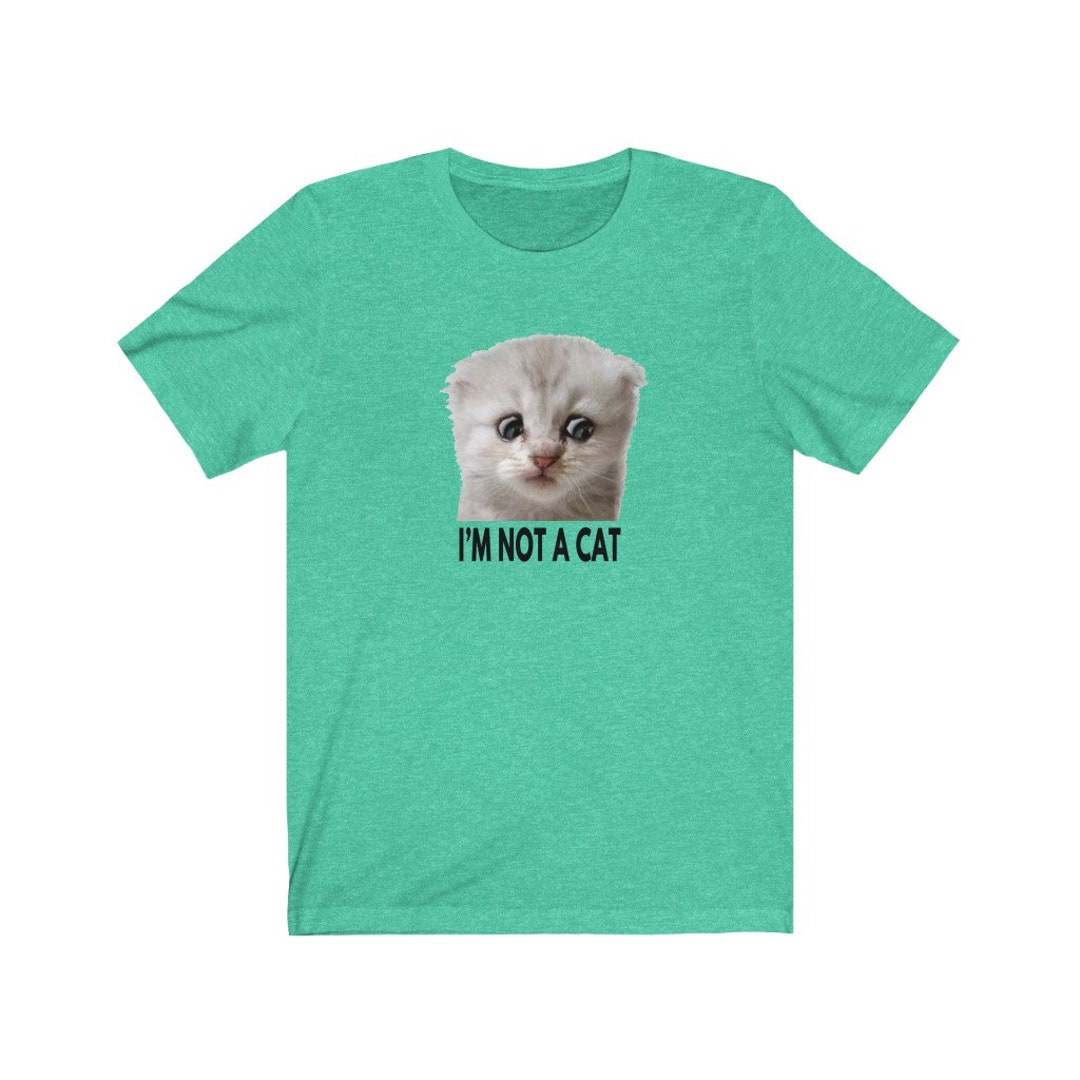 Not a Cat Zoom Lawyer Cat Shirt Zoom Cat Meme Shirt Funny Lawyer Zoom