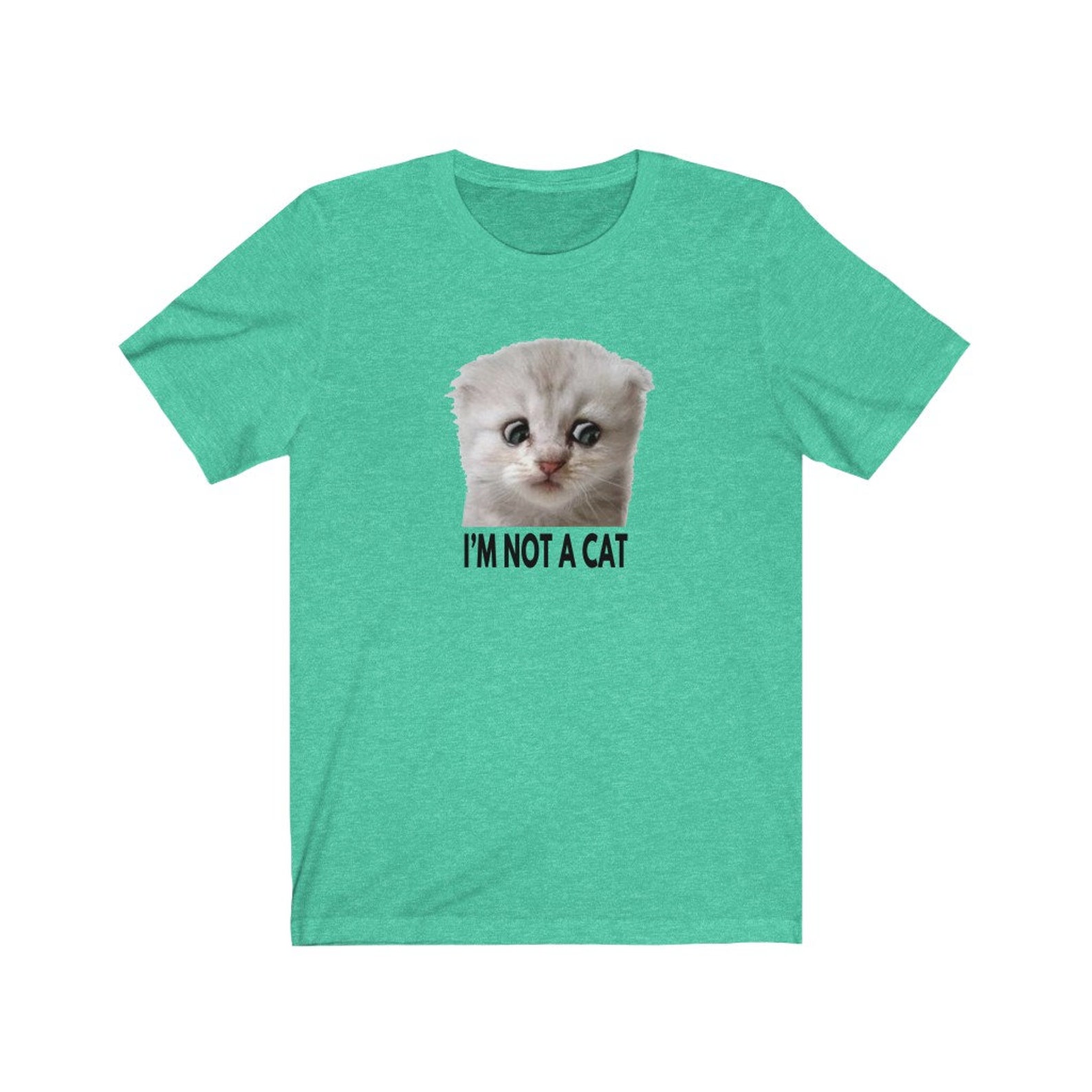 Not a Cat Zoom Lawyer Cat Shirt Zoom Cat Meme Shirt Funny Etsy