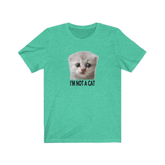 Not a Cat Zoom Lawyer Cat Shirt Zoom 