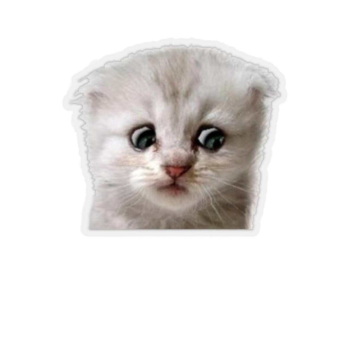 Zoom Lawyer Cat Sticker Zoom Cat Meme Sticker Funny Lawyer Etsy
