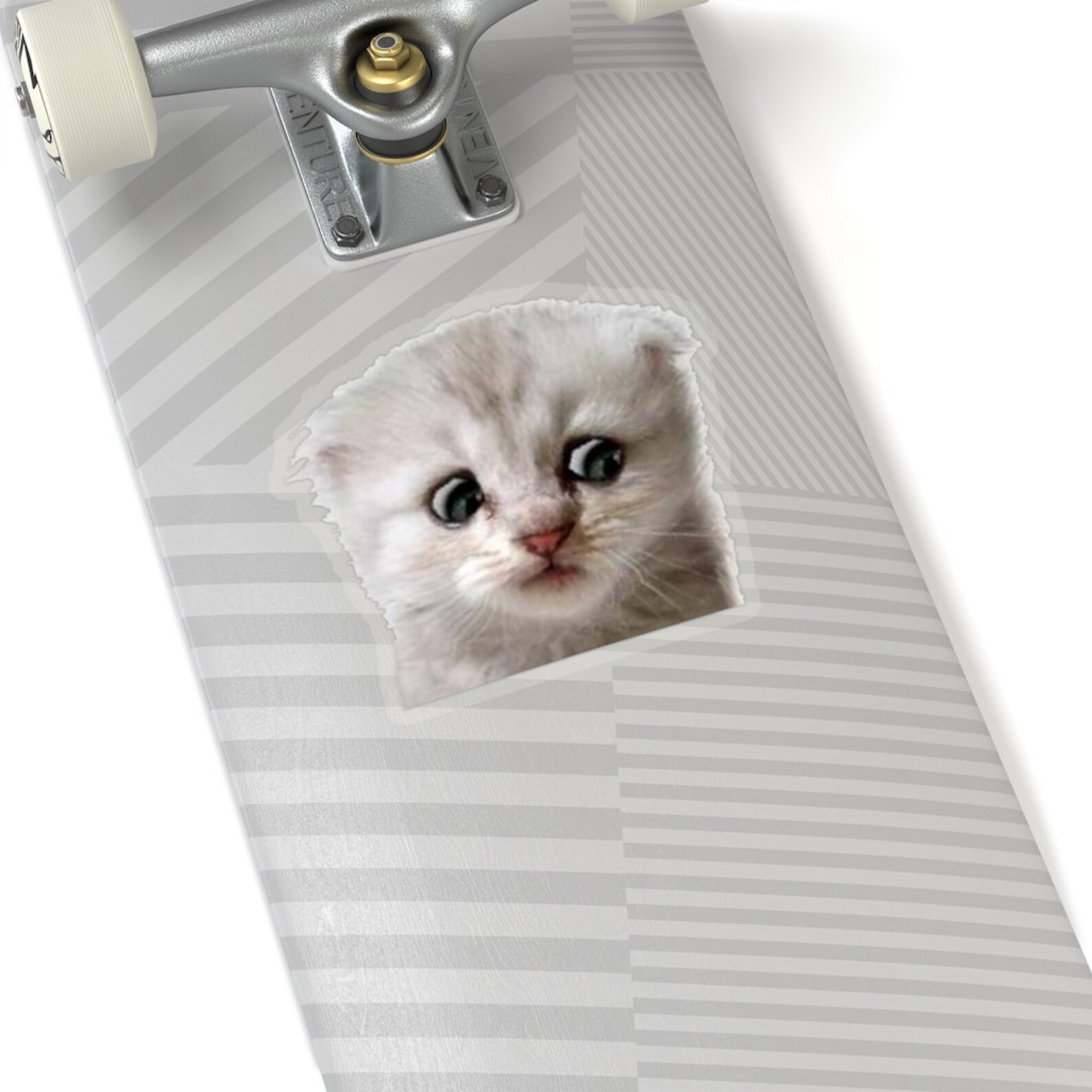 Zoom Lawyer Cat Sticker Zoom Cat Meme Sticker Funny Lawyer Etsy