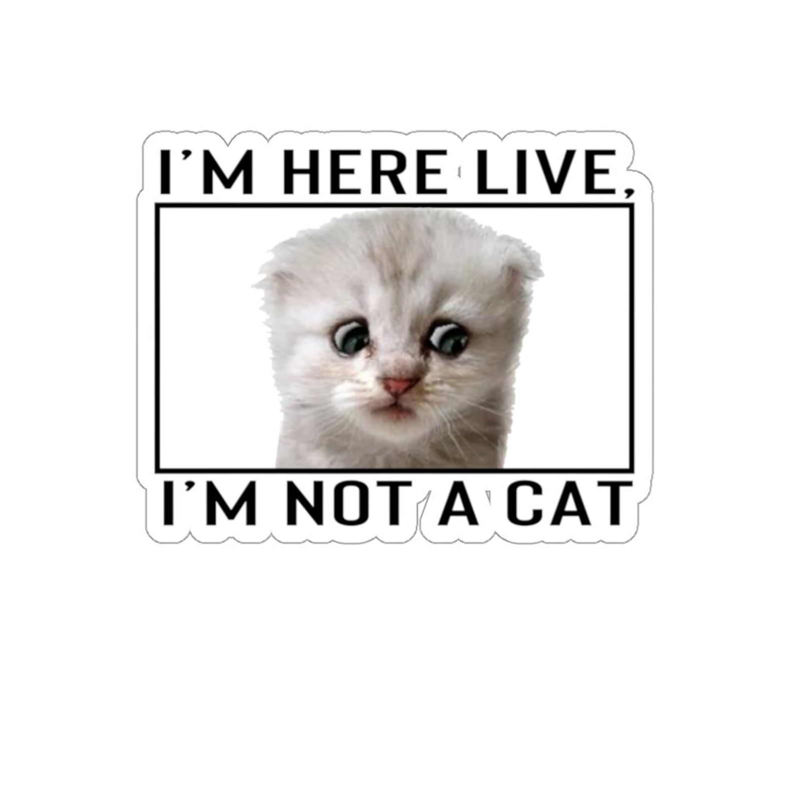 Zoom Lawyer Cat Sticker Zoom Cat Meme Sticker Funny Lawyer Etsy