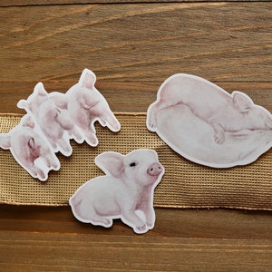 Lot de 3 autocollants en vinyle pour porcelets mignons | Bébés porcelets | Stickers aquarellistes | Cadeaux pour les collectionneurs de stickers | Art bébé cochon | Bébé porcelet