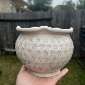 May include: A white ceramic planter with a scalloped rim and a delicate floral pattern. The planter has a slightly rounded shape and a wide base.