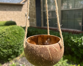 Handmade Natural Coconut shell flower pot 4"
