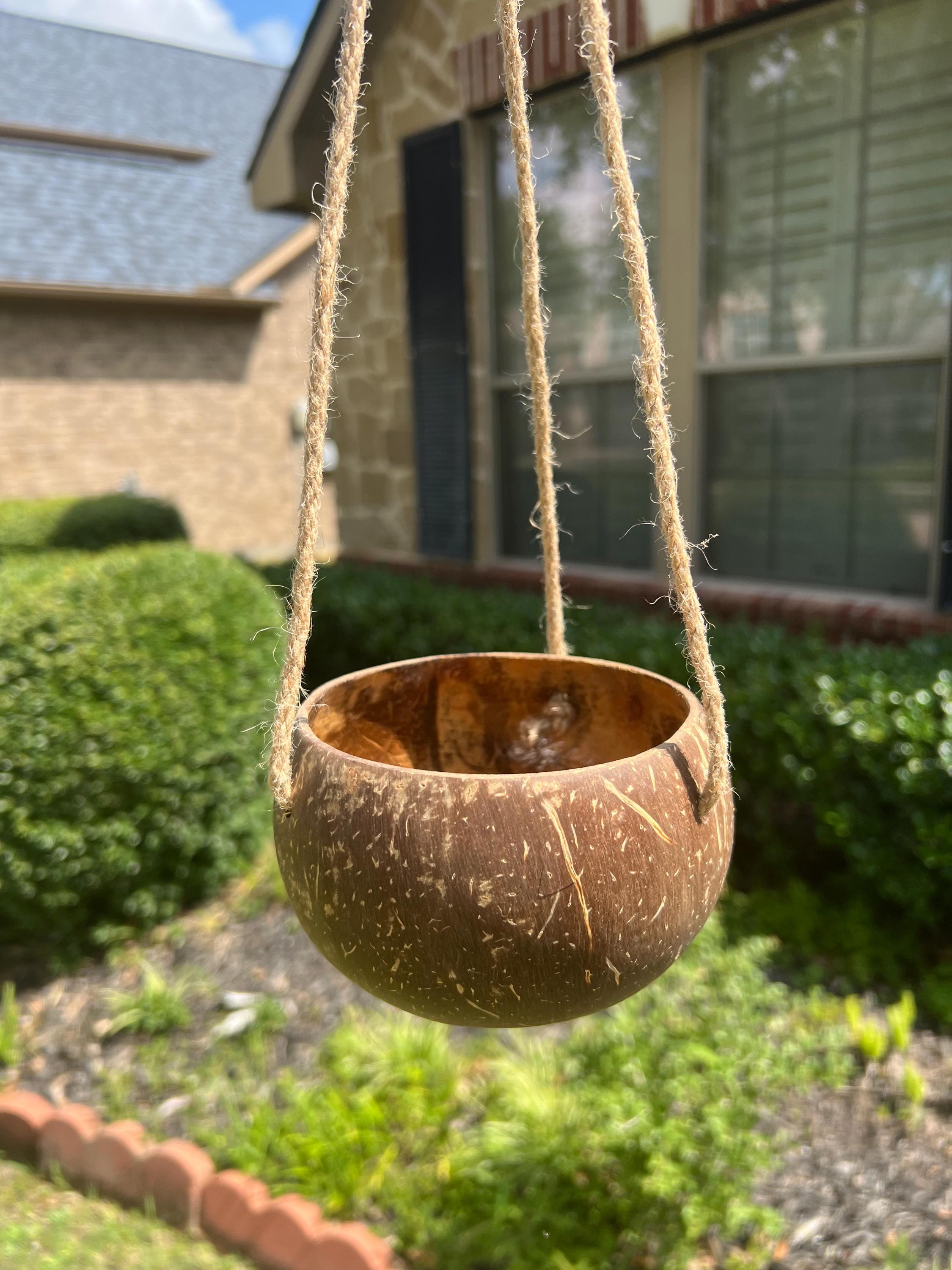Handmade Natural Coconut Shell Flower Pot 4