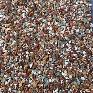 Ready to use--Pre-mixed soil for succulent/cactus