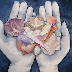 Può includere: Un paio di mani che tengono una collezione di conchiglie. Le conchiglie sono di vari colori e forme, tra cui rosa, viola, bianco e marrone.