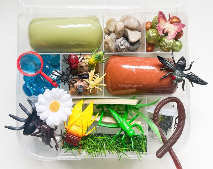 Play Dough Kit, Bugs Play Dough Kit, Insect Kit, Sensory Kit, Insect ...