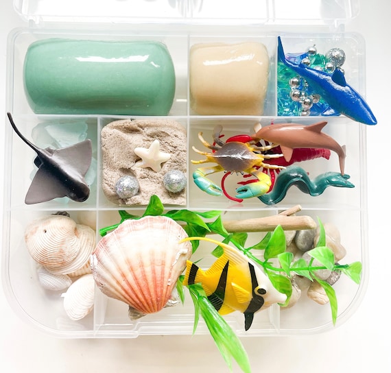 Play Dough Kit, Ocean Play Dough Kit, Dough Kit, Play Kit, Sensory Kit,  Play Dough Sensory Busy Box, Kids Gift, Preschool Play, Homeschool