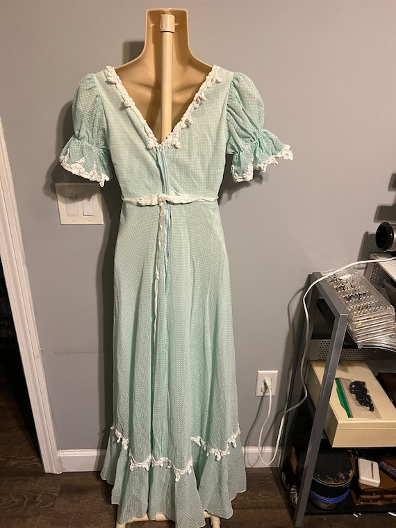 Vintage 70s Long Maxi-Length Lace Formal Dress, R… - image 2
