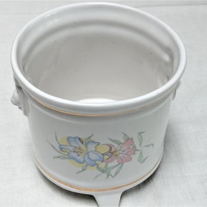 Vantage  12.5 cm floral lions ceramic planter pot indoor flower pot holder
