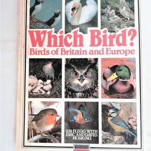 May include: A book cover with the title "Which Bird? Birds of Britain and Europe" featuring colorful illustrations of various birds, including a puffin, a swan, a robin, a blue tit, a kestrel, an owl, a mallard duck, and a thrush.