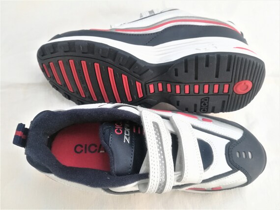 cica trainers