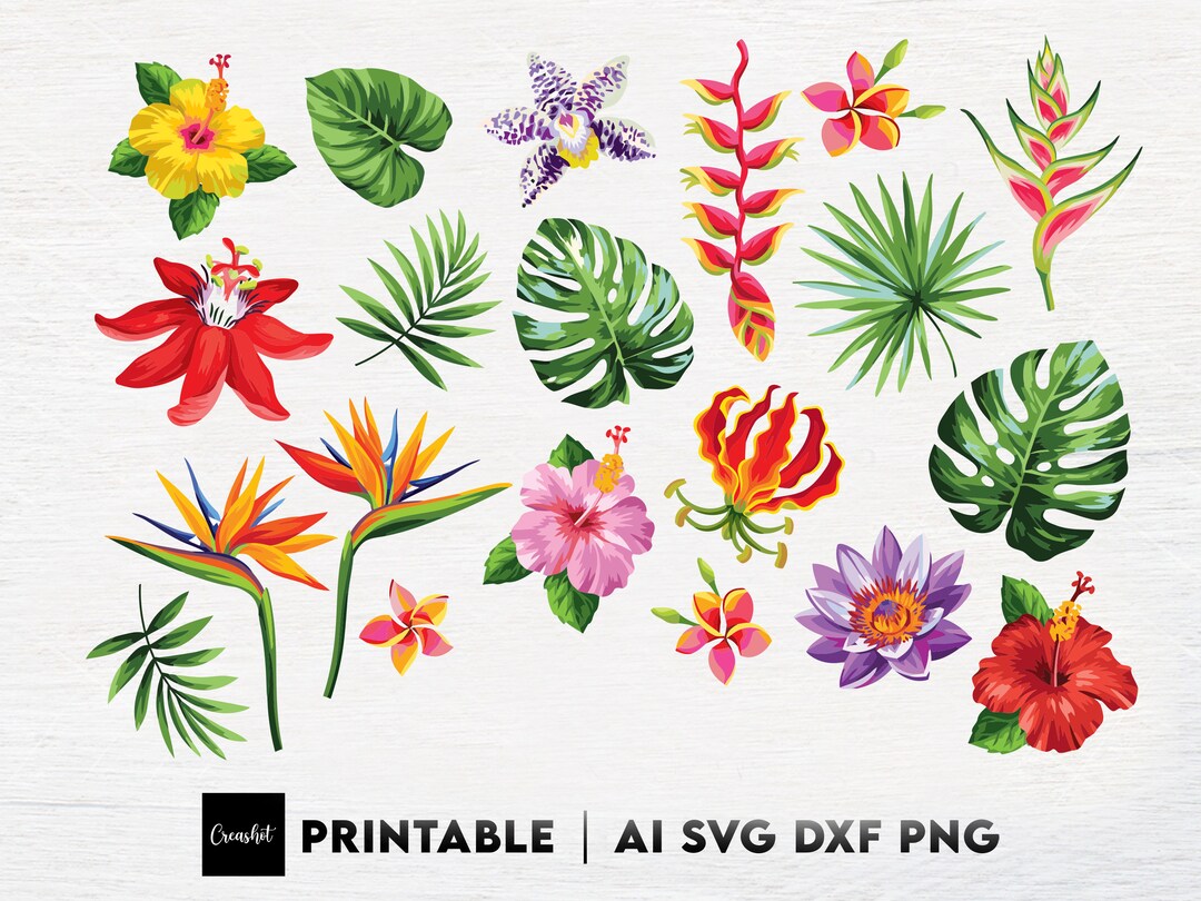 Tropical Leaf SVG Bundle Tropical Leaves Clipart Summer - Etsy