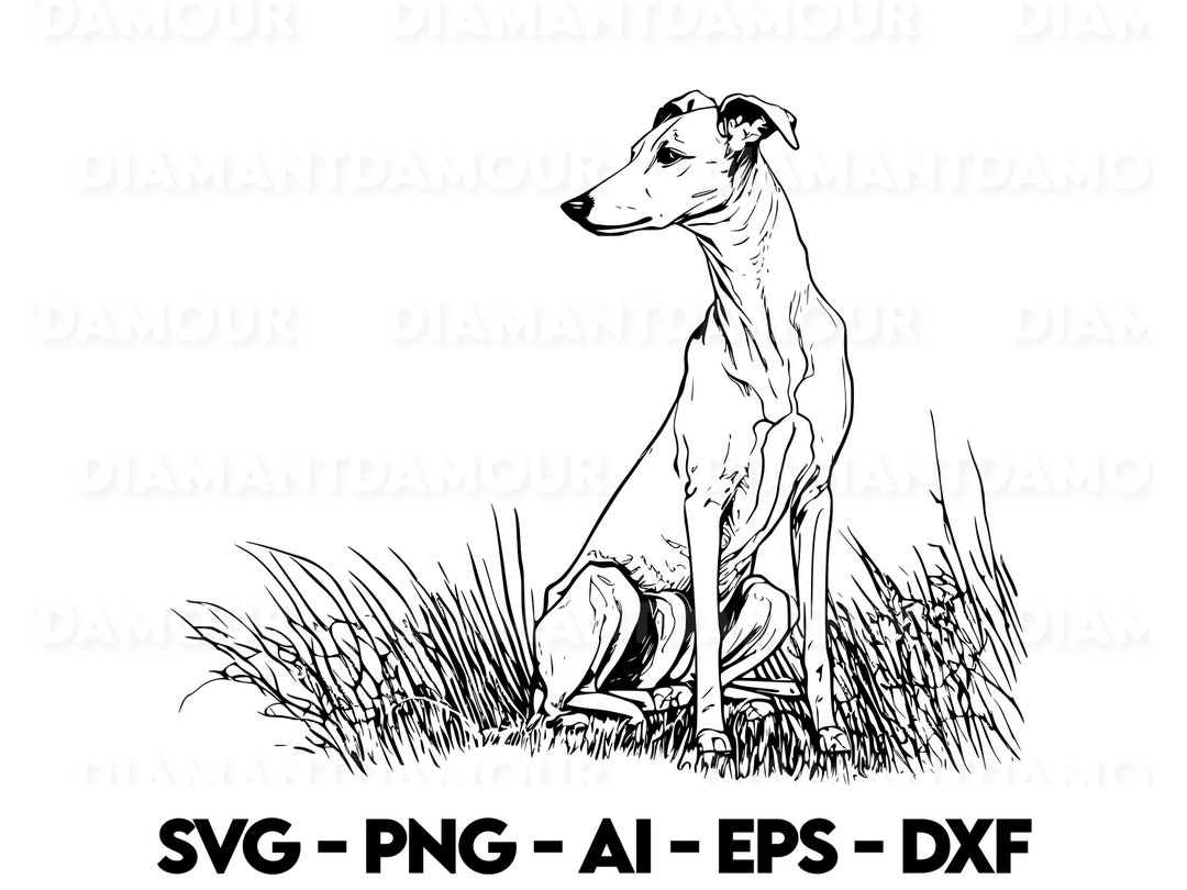 Whippet Svg Dog Svg Whippet Silhouette Whippet Outline Png - Etsy