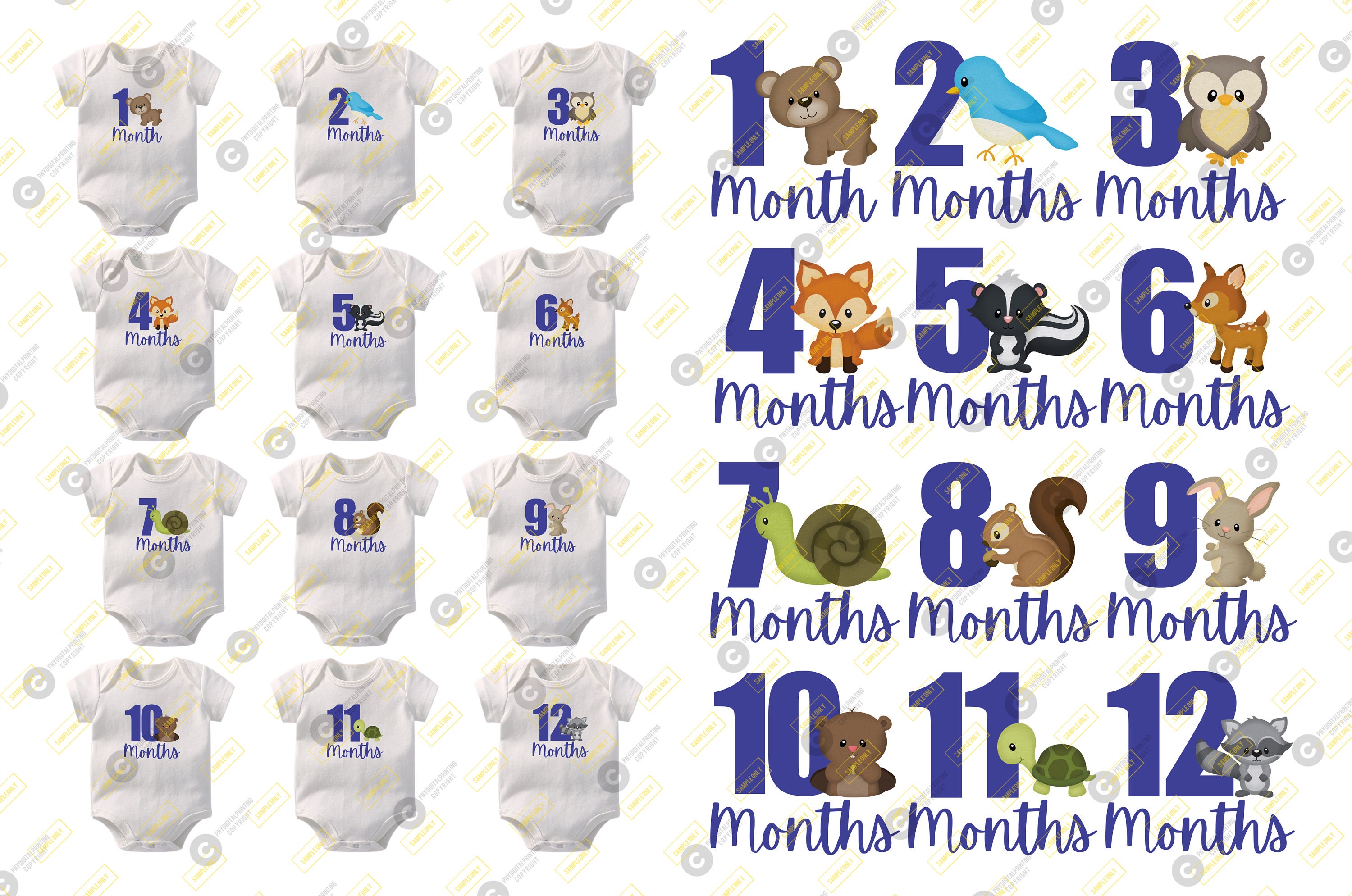 Sublimation Design Digital Download Baby Boy Monthly Etsy