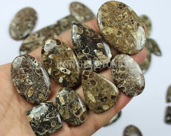 Cabochões de jaspe Turritella natural: lote de pedras preciosas de ágata feitas à mão
