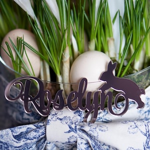 Marque-places avec lapin, lapin, Marque-places de mariage, Prénoms personnalisés découpés au laser, Prénoms en bois découpés au laser, Plaques d'identification, Fête, Décoration, Cadeau
