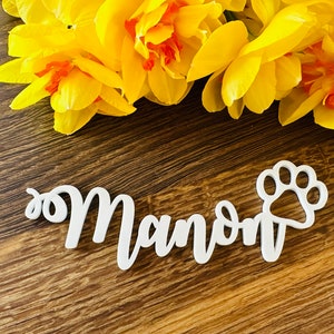Marque-places avec patte, Marque-places de mariage, Prénoms personnalisés découpés au laser, Prénoms en bois découpés au laser, Plaques nominatives, Fête, Décoration, Cadeau