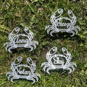 Puede incluir: Cuatro adornos plateados con forma de cangrejo con diseños recortados, cada uno con un nombre diferente: Anna, Breeze, Nolan y Sky. Los adornos están colocados sobre hierba verde, con sombras.
