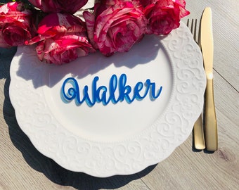 Peut inclure: Un marque-place bleu en acrylique avec le nom "Walker" en écriture cursive, posé sur une assiette blanche à bord décoratif. Des couverts dorés sont à droite, et des roses roses et rouges en arrière-plan. Une mise en place pour un événement.