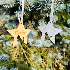 Cat place cards, custom place cards, engraved animal place cards,gift,pet,party,celebration,engraving,cat,decoration,Star,winter,Christmas
