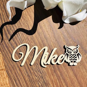 Marque-places avec hibou, marque-places de mariage, noms personnalisés découpés au laser, zoo, safari, nature, plaques d'identification, fête, décoration, cadeau, animal, oiseau