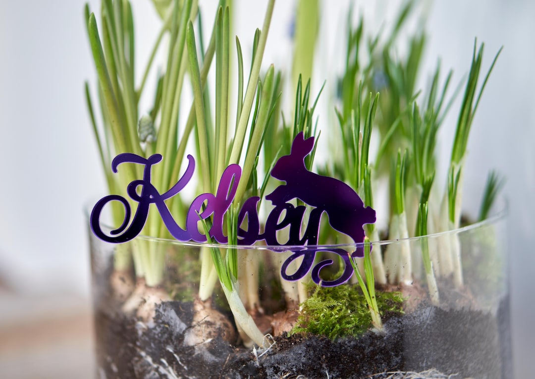 Place Cards With Bunny, Rabbit, Wedding Place Cards, Custom Laser-cut ...