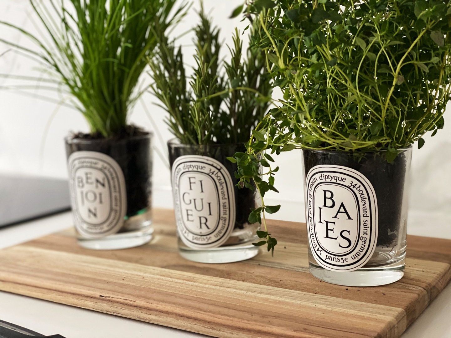 ARTE Pot auto-arrosant pour plantes d'intérieur de Santino®, taille: 0,6l,  couleur: blanc - noir