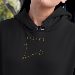 Pisces Zodiac Clothing Aesthetic Hoodie Astrology Sweatshirt Zodiac Shirt Pisces Sweatshirt Pisces Gift Zodiac Pisces Constellation Shirt