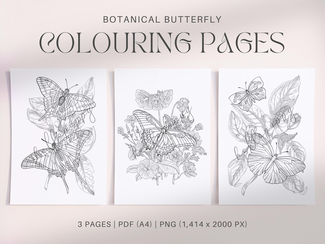 Butterfly Colouring Pages, Simple Colouring Book, Printable for Kids ...