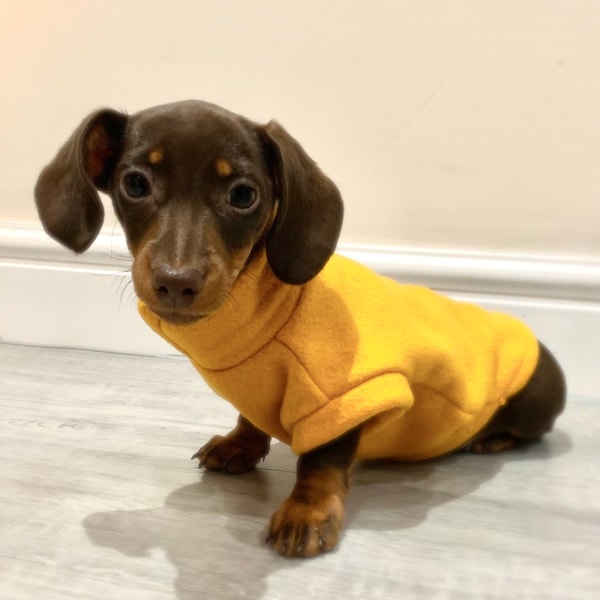 Miniature Dachshund/Sausage Dog/Puppy Fleece Jumpers handmade