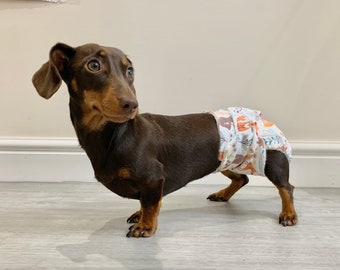 dachshund diapers