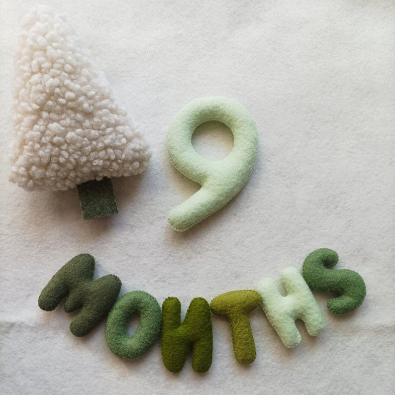 May include: A white felt tree, a light green felt number nine, and green felt letters spelling out "MONTHS" on a white background.