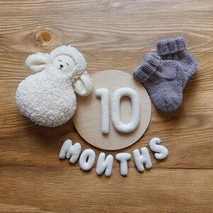 May include: A wooden circle with the number 10 in white felt letters, surrounded by the word "months" in white felt letters. A white plush lamb toy and a pair of gray knitted baby socks are on the wooden surface.