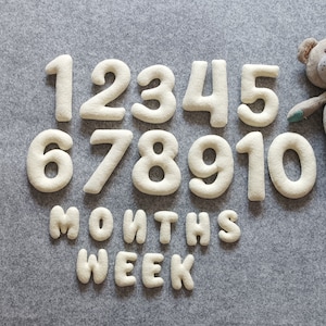 Set di numeri per le tappe fondamentali del bambino, set di numeri per le tappe fondamentali mensili e settimanali del bambino, bouclé di pecora, scatola regalo per neonati, tutina da 1 mese, biglietti per le tappe fondamentali del bambino