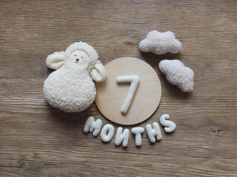 May include: A white wooden circle with the number 7 on it, surrounded by white felt clouds and a white felt sheep. The words "MONTHS" are spelled out below the circle.