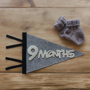 Newborn photo prop first year, monthly milestones flag for baby photos newborn photo prop first year felt gender neutral pennant baby shower