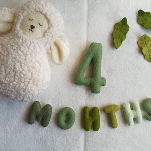 May include: A white plush lamb toy laying on a white background with green felt letters spelling out "4 MONTHS" and green felt leaves.