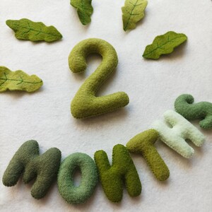 May include: Green felt letters spelling out "2 months" with a larger green felt number 2. The letters and number are surrounded by green felt leaves.